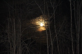 A few clouds drifting across the full moon